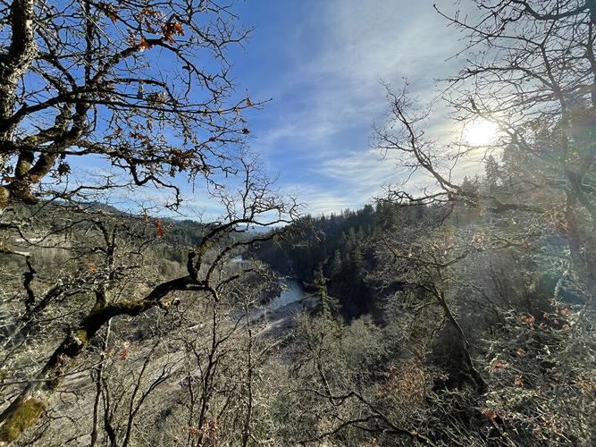 A view of the Hood River from a bench on the Indian Creek Trail. Photo by Laurel Brown.