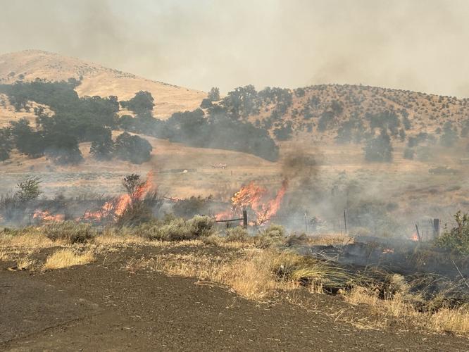 Stephanie Krell 6.jpg