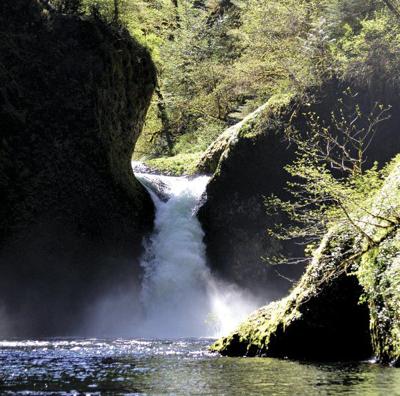 New York man dies after Eagle Creek fall