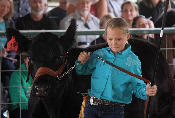 2018 Wasco County Fair Results