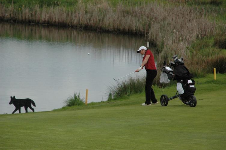 0306 TD golf file3