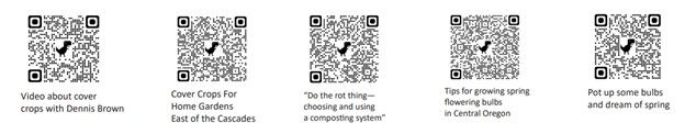 QR codes