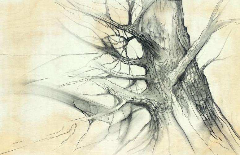 11-4 HR CCA exhibit Jen Smith.jpeg