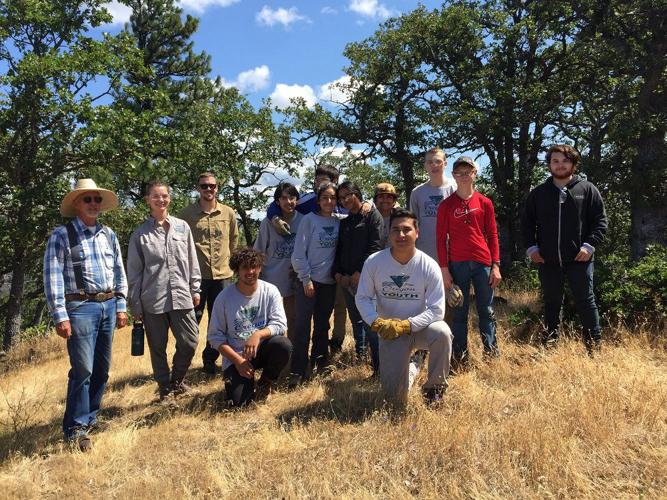 B5 Next door summer employ 1.jpg