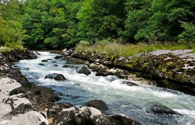 Editorial: Balance needed in stream rules