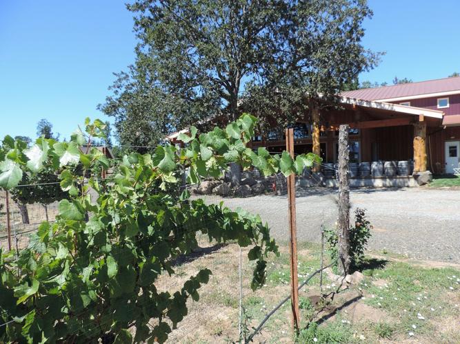 Hood Crest goes from whim to solid rock ‘n wood winery