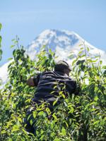 Farm Bureau urges ag employers to prioritize heat safety