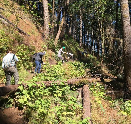 B5 Next door summer employ 2.jpg