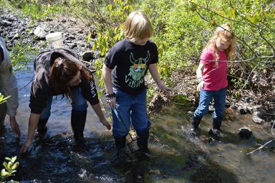 Saving ‘speed demons’: Mosier residents do impromptu salmon rescue