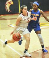 Local hoops teams ready to get the ball rolling