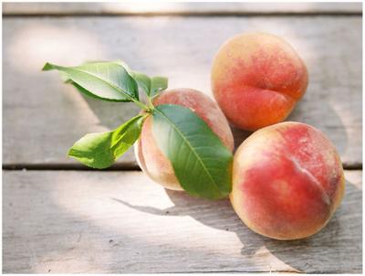 Fresh Start serves first farm supper