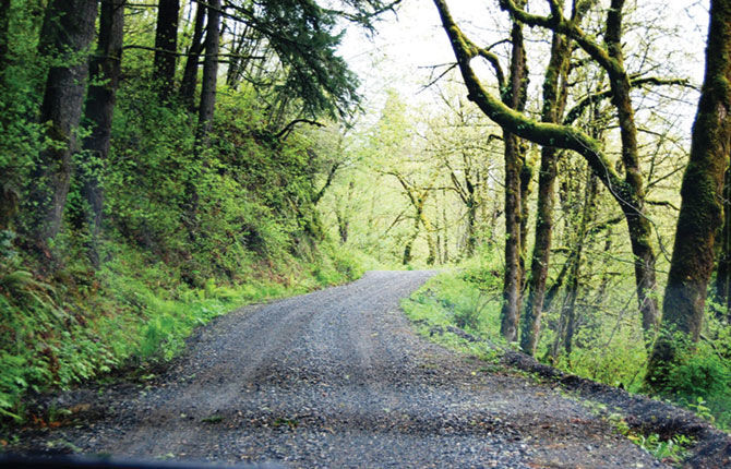 Hikers hunt for ‘hidden jewel’