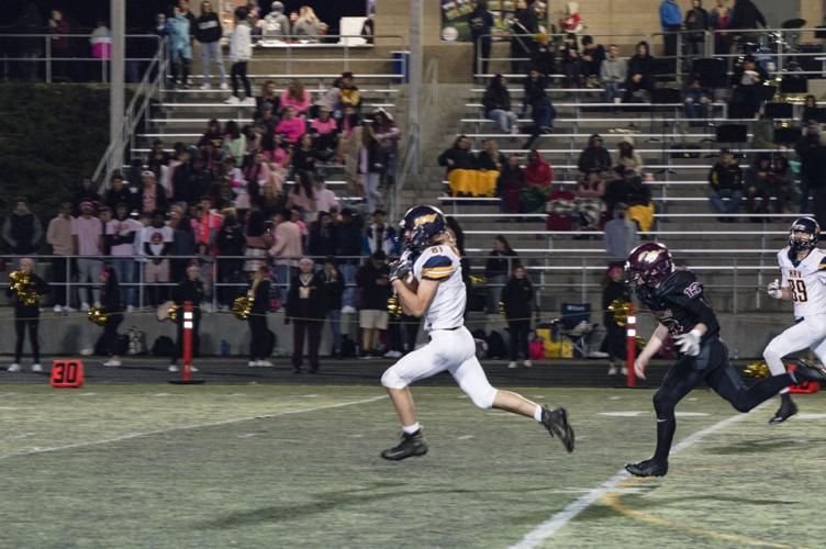 A7 timothy fletche, crop.jpg