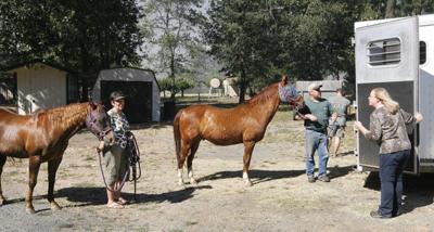 Progress seen on South Oregon wildfire