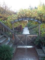 Enhance and improve your property with concrete (includes slideshow)