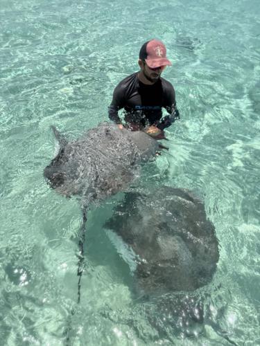 guide with friendly rays.jpeg