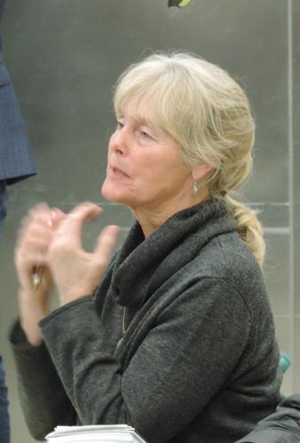 Citizen files Morrison Park/Lot 700 rezone appeal with LUBA