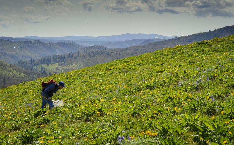 Volunteer In TD_MBG2533.jpg