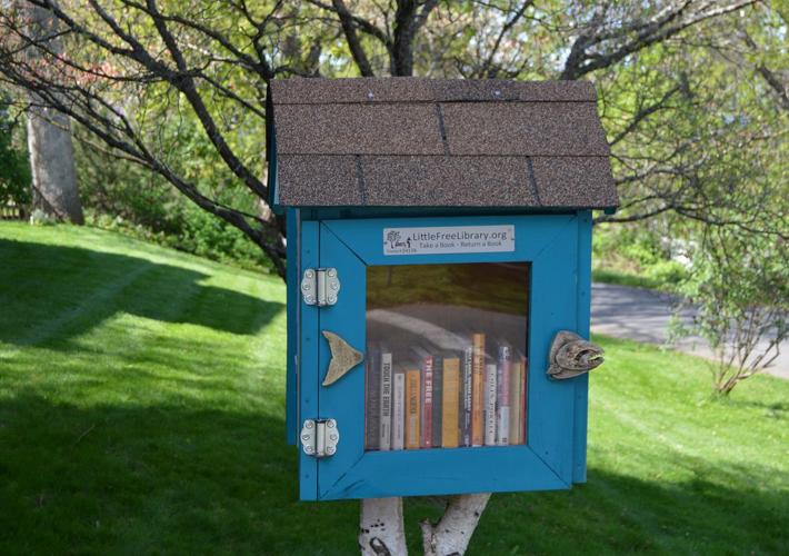 'Little free book boxes': Student to bring libraries to 3 neighborhoods