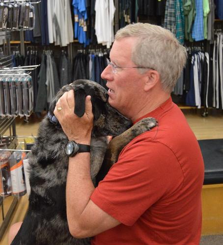 Going to the dogs: Hood River’s dog-friendly vibe doesn’t end at the office