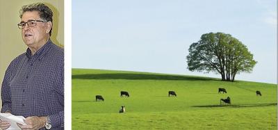 Bailey named to heritage commission