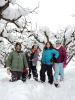 Roots and Branches: Winter snow brings neighbors together