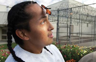 Prison inmates raise butterflies
