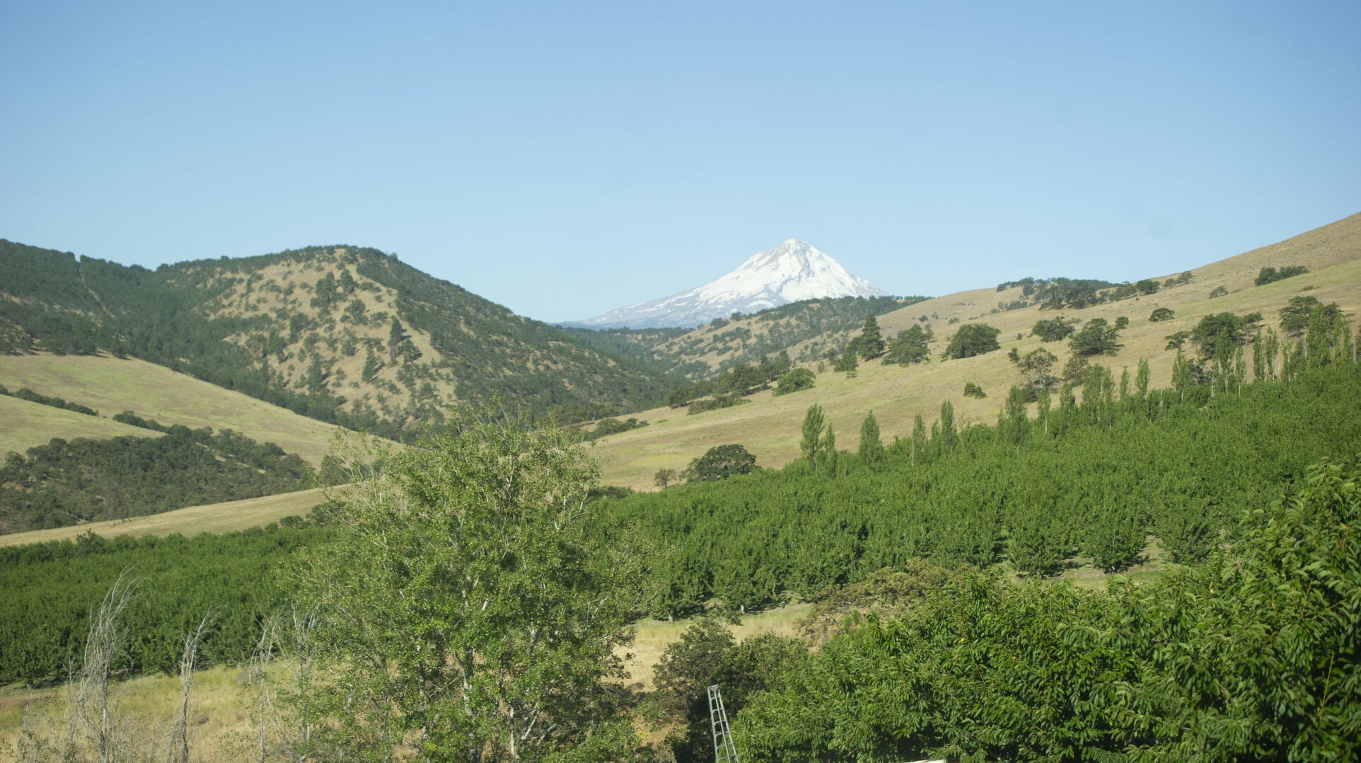 heater_myerson_orchards_7.jpg