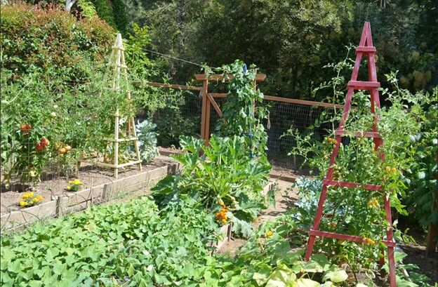 Central Gorge Master Gardeners garden tour