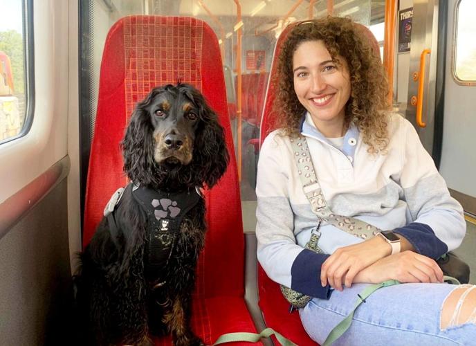 Cat’s life saved by surprising blood transfusion – from the vet’s pet dog