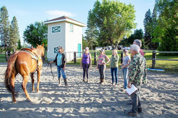 B1 saddle club 2.jpg
