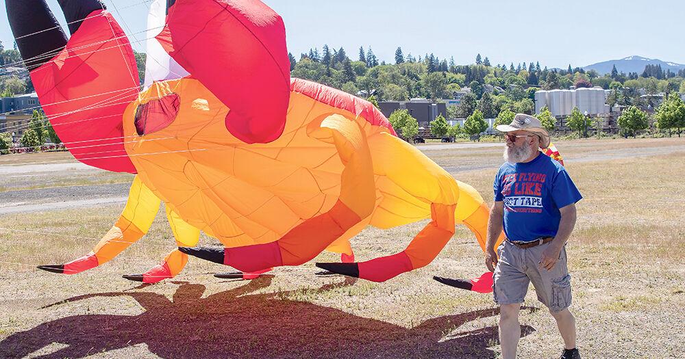 Bristol Hospice Kite Festival planned for May 18 - Vimarsana News
