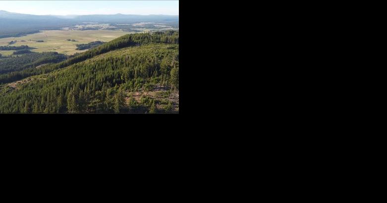 Mt. Adams Community Forest expands - Vimarsana News