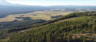 Mt. Adams Community Forest expands  ONE PIC.jpg