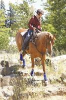 Saddle Club Promoting Trail Rides, Planning September Horse Event