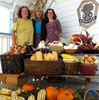 ‘Fill Your Pantry’ Market debuts Nov. 7 at Grange