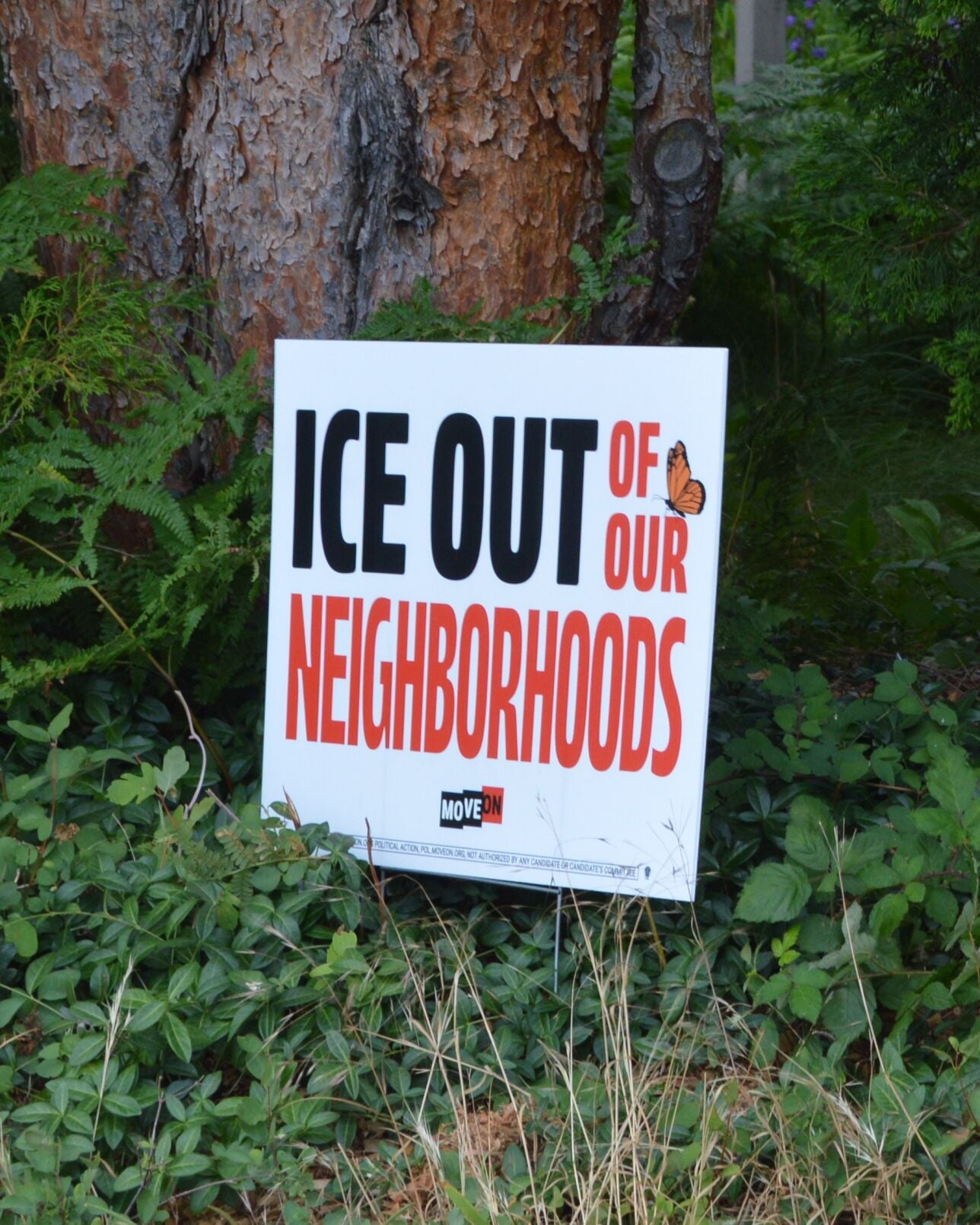 Ice out