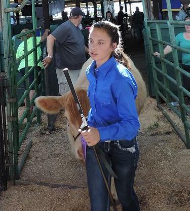 A8 livestock, Marina Castenada