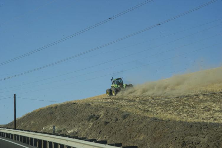 Valley View Fire_MBG7072.jpg