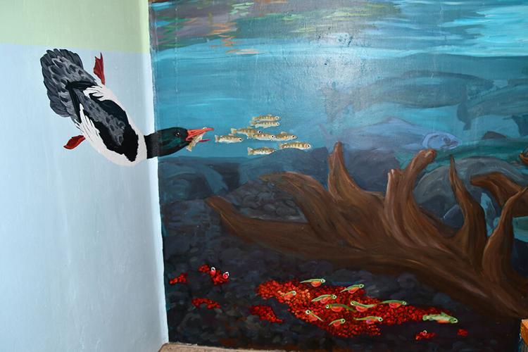 Marganser image