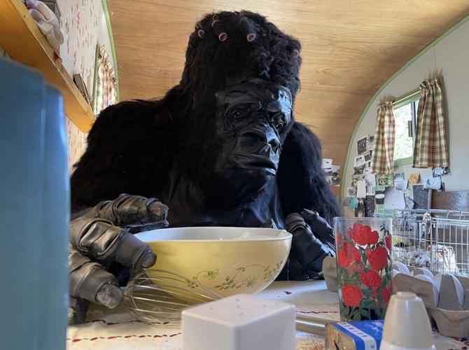 The Freak Family Roadshow