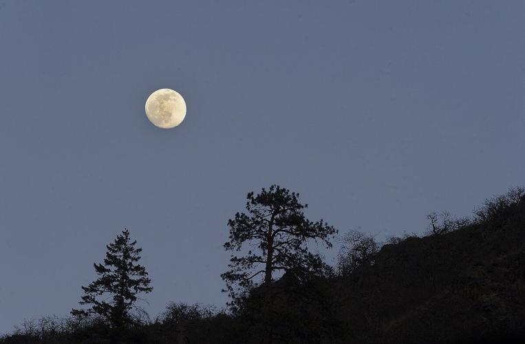 What's in the night sky moon