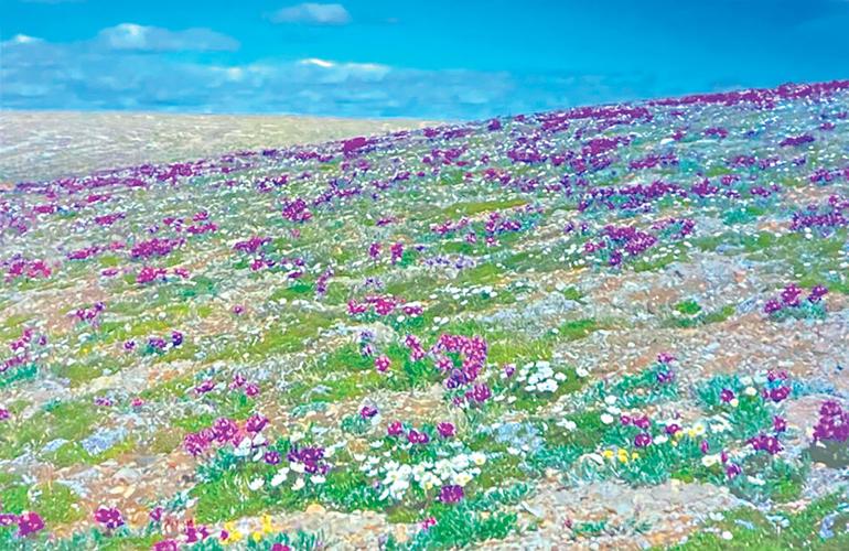 B11 Wild About Nature 5 PRINT