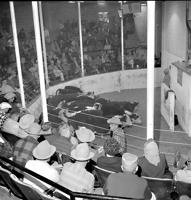 History mystery for July 24, 2024