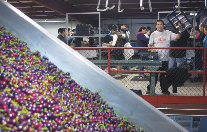 Farm Bureau works for agriculture