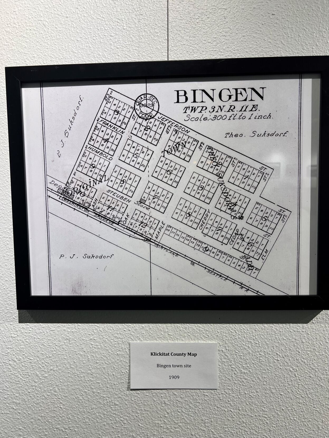 NEW USE Bingen Map.jpg