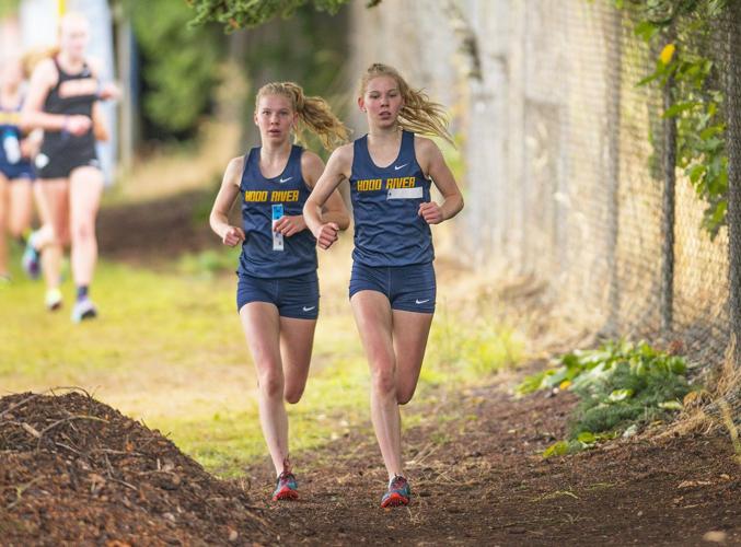 For consecutive years, HRV cross country sweep district championship