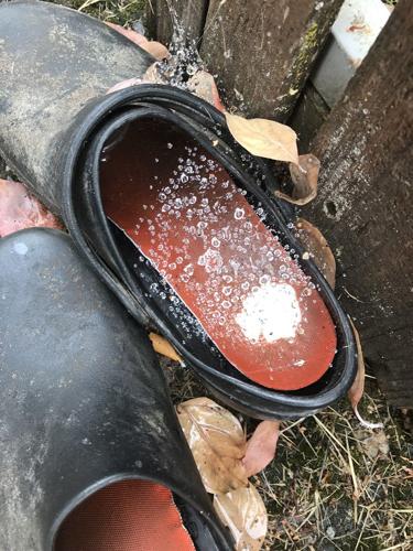 A2 porch shoe, web, droplets.JPG