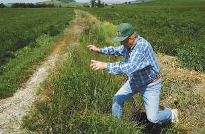 Sunday’s annual Delta Kappa Tour helps Hospice of the Gorge