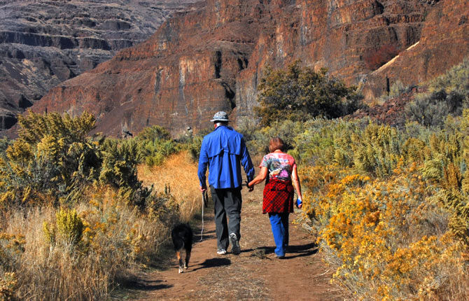 Skip's Trailhead: Cottonwood Canyon